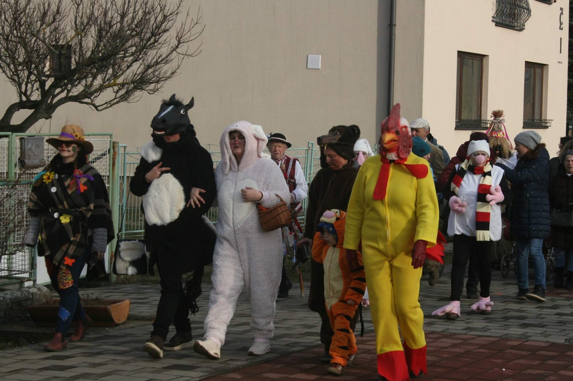 629702484_1204578648497034_1378547184624046524_n